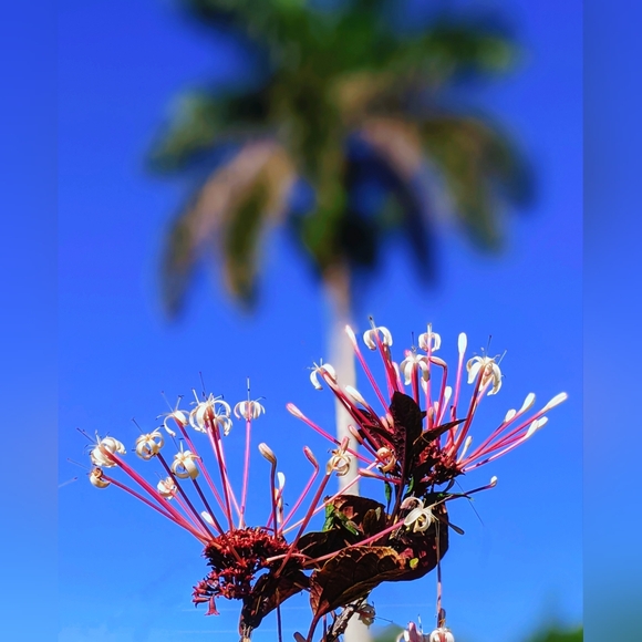 Hi, I'm Amida. - Picture 10 of 10